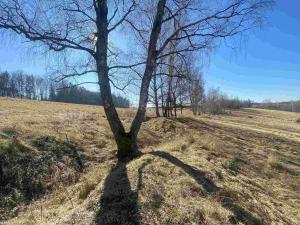 Prodej pole, Rozvadov - Svatá Kateřina, 60693 m2