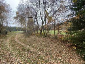 Prodej pole, Chvalšiny, 1158 m2