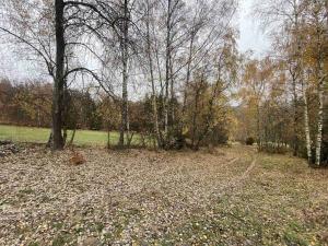 Prodej pole, Chvalšiny, 1158 m2