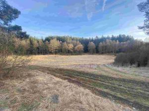 Prodej pozemku, Kočov, 5268 m2