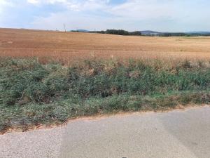 Prodej komerčního pozemku, Cehnice, 9229 m2