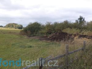 Prodej pole, Tachov, 55727 m2