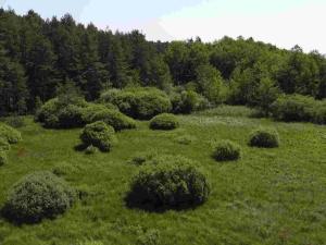 Prodej pozemku, Jílovice, 20535 m2