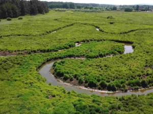 Prodej pozemku, Jílovice, 20535 m2