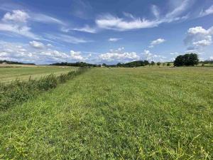 Prodej pole, Lhenice - Hrbov, 55481 m2