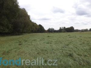 Prodej pole, Rosovice, 1718 m2