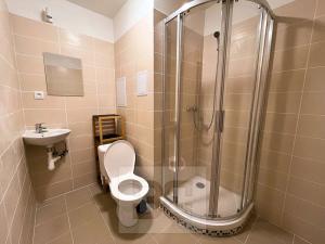 Pronájem bytu 2+1, Karlovy Vary, Koptova, 53 m2