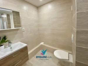 Prodej bytu 2+kk, Teplice, Pražská, 40 m2