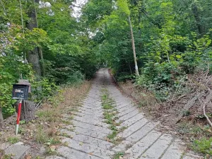 Prodej podílu lesa, Brno, 2145 m2