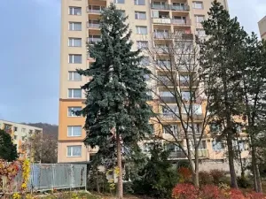 Prodej bytu 2+1, Ústí nad Labem, Jizerská, 66 m2