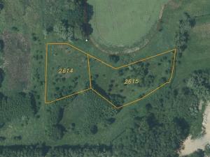 Dražba louky, Bohuslavice, 8942 m2