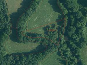 Dražba louky, Novosedly nad Nežárkou, 6591 m2