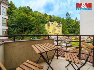 Prodej bytu 1+kk, Jáchymov, K Lanovce, 36 m2