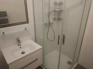 Pronájem bytu 3+kk, Praha - Vinohrady, Mánesova, 80 m2