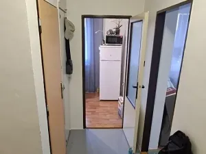 Prodej bytu 1+1, Plzeň, Motýlí, 37 m2