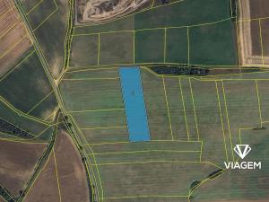 Prodej pole, Stašov, 8842 m2