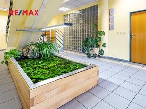 Prodej kanceláře, Česká Lípa, Vachkova, 826 m2