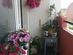 Prodej bytu 3+1, Most, Františka Malíka, 86 m2