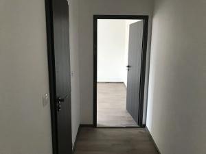 Pronájem bytu 1+1, Karlovy Vary, Celní, 43 m2