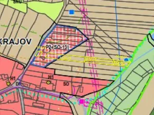 Dražba louky, Přeštěnice, 2817 m2