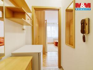 Pronájem bytu 1+kk, Mariánské Lázně - Úšovice, Tepelská, 20 m2