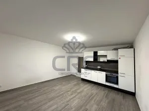 Pronájem bytu 1+kk, Slavkov u Brna, Zelnice II, 39 m2