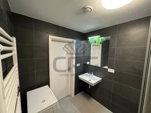 Pronájem bytu 1+kk, Slavkov u Brna, Zelnice II, 39 m2