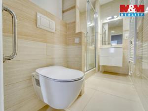 Pronájem bytu 3+1, Plzeň - Doudlevce, Heyrovského, 77 m2