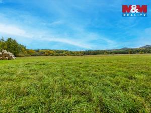 Prodej louky, Jestřebí, 14822 m2