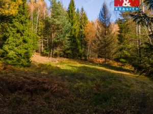 Prodej louky, Milíkov, 4541 m2