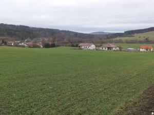 Prodej pole, Srby, 19946 m2