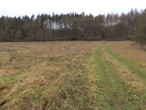 Prodej pole, Srby, 19946 m2