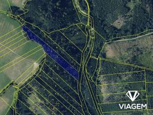 Prodej lesa, Lomnice, 10434 m2