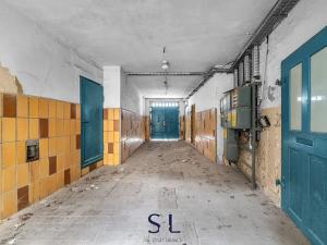 Prodej činžovního domu, Žitava, Německo, Reichenberger Straße, 550 m2