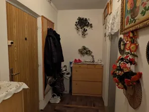 Prodej bytu 2+kk, Most, Lipová, 50 m2