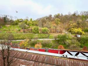 Pronájem bytu 2+1, Praha - Žižkov, Hartigova, 62 m2