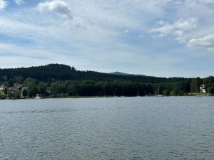 Prodej pozemku pro bydlení, Horní Planá, 3046 m2