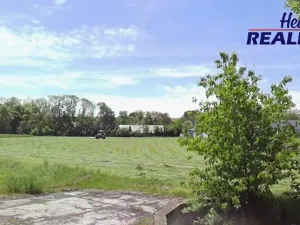 Prodej komerčního pozemku, Neplachovice, Na Nivě, 7386 m2