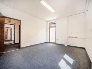 Prodej rodinného domu, Mladá Boleslav, Ptácká, 305 m2