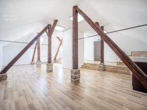 Prodej rodinného domu, Mladá Boleslav, Ptácká, 305 m2