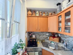 Prodej bytu 1+kk, Ostrava, Karola Šmidkeho, 28 m2