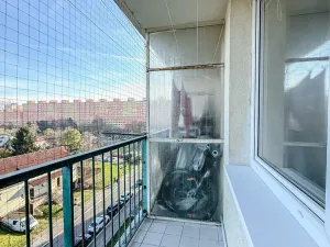 Pronájem bytu 3+kk, Praha - Bohnice, Cafourkova, 54 m2