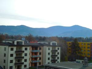 Prodej bytu 3+1, Frýdlant nad Ostravicí, Hlavní, 83 m2