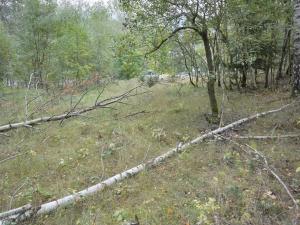 Prodej zahrady, Liberec, 1233 m2