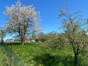 Prodej pozemku pro bydlení, Hamr na Jezeře, 875 m2