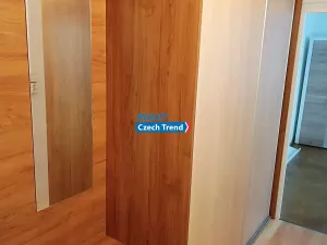 Pronájem bytu 1+1, Olomouc, Dělnická, 37 m2