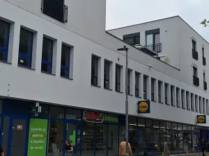 Pronájem garážového stání, Brno, Vídeňská, 13 m2