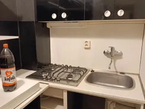 Pronájem bytu 1+kk, Brno, Hoblíkova, 23 m2