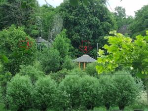 Prodej komerčního pozemku, Heřmaničky, 19000 m2