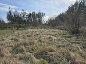 Prodej rodinného domu, Františkovy Lázně, 160 m2